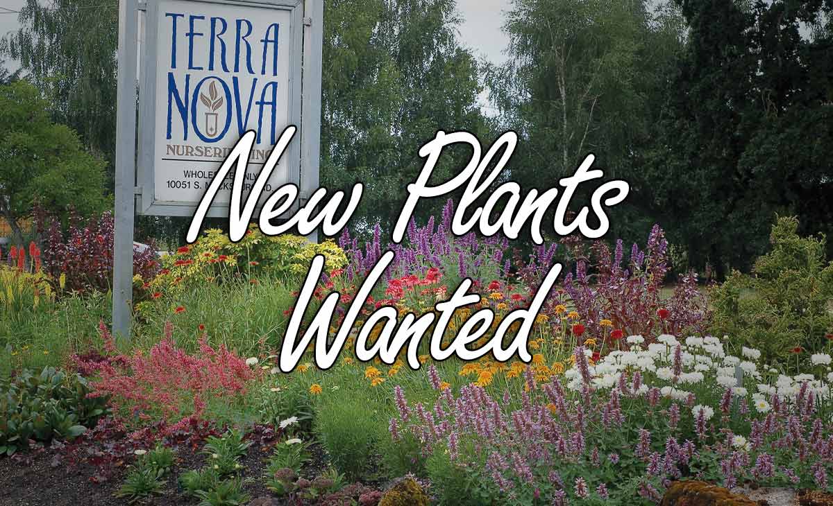 New Plants Wanted